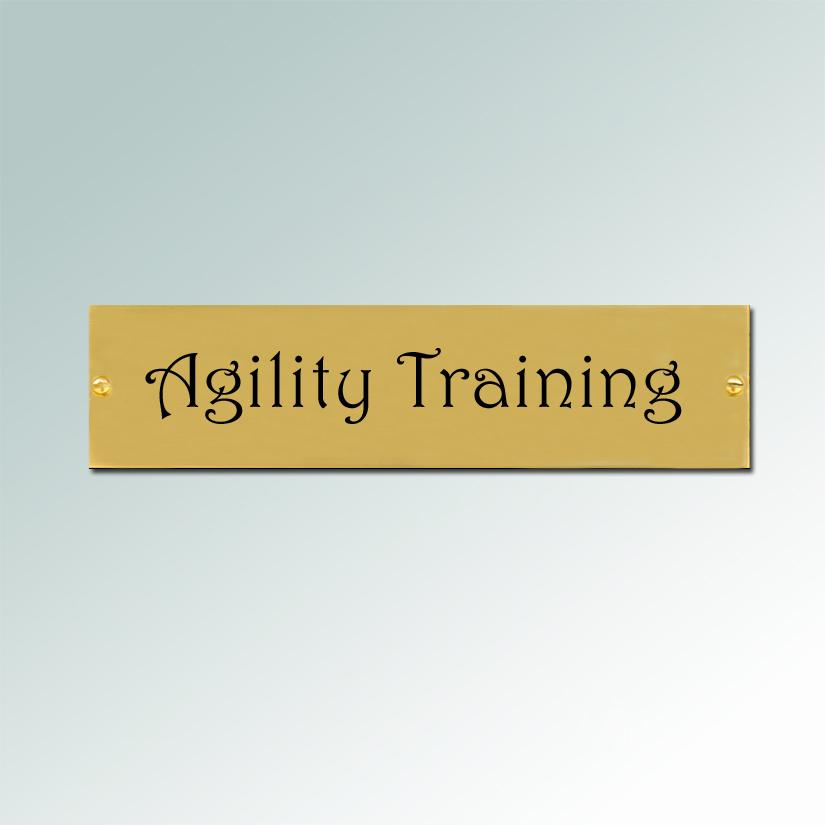 Personalized Plastic Dog Crate Tag