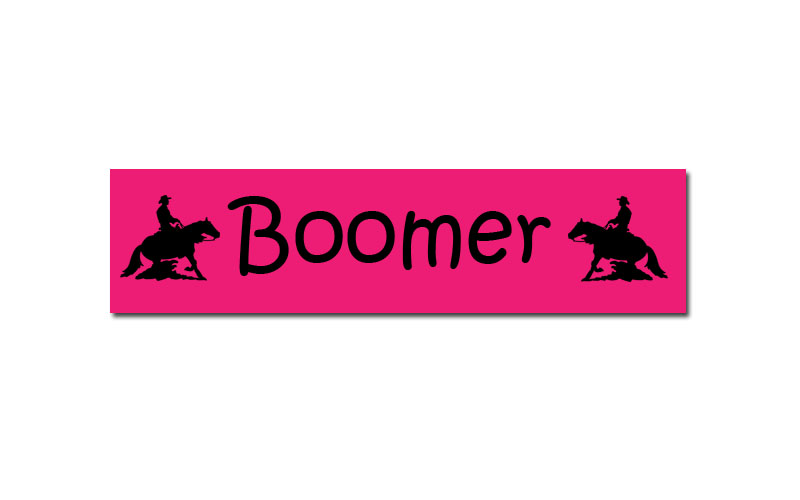 Personalized Plastic Horse Stall Nameplate - Rodeo Designs | Rodeo Stall Plate