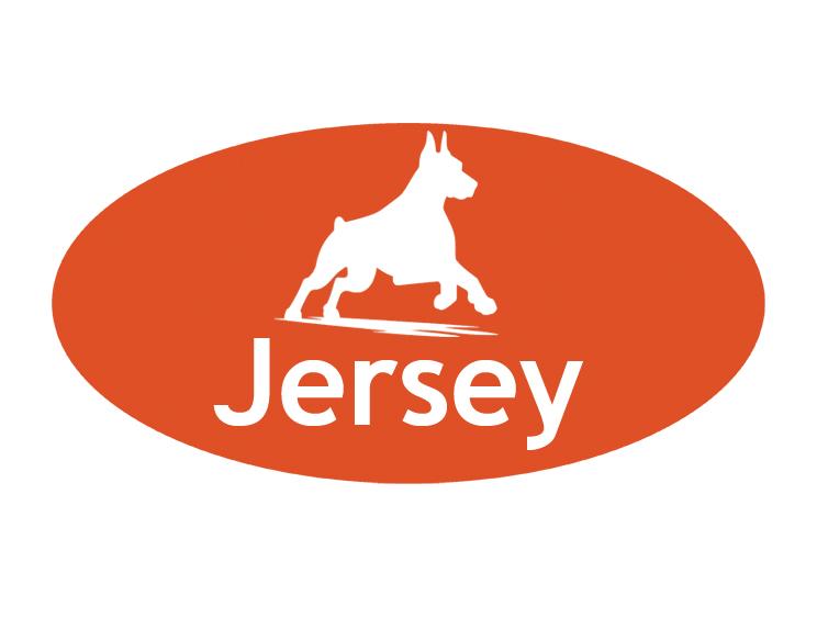 Personalized engraved plastic oval dog crate / kennel tags with engraved Doberman design and engraved text.