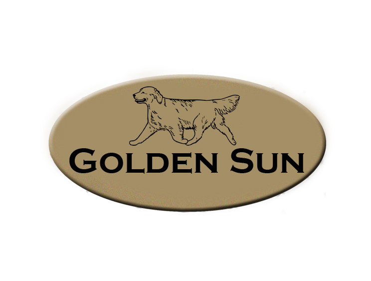 Personalized engraved plastic oval dog crate / kennel tags with engraved Golden Retriever design and engraved text.