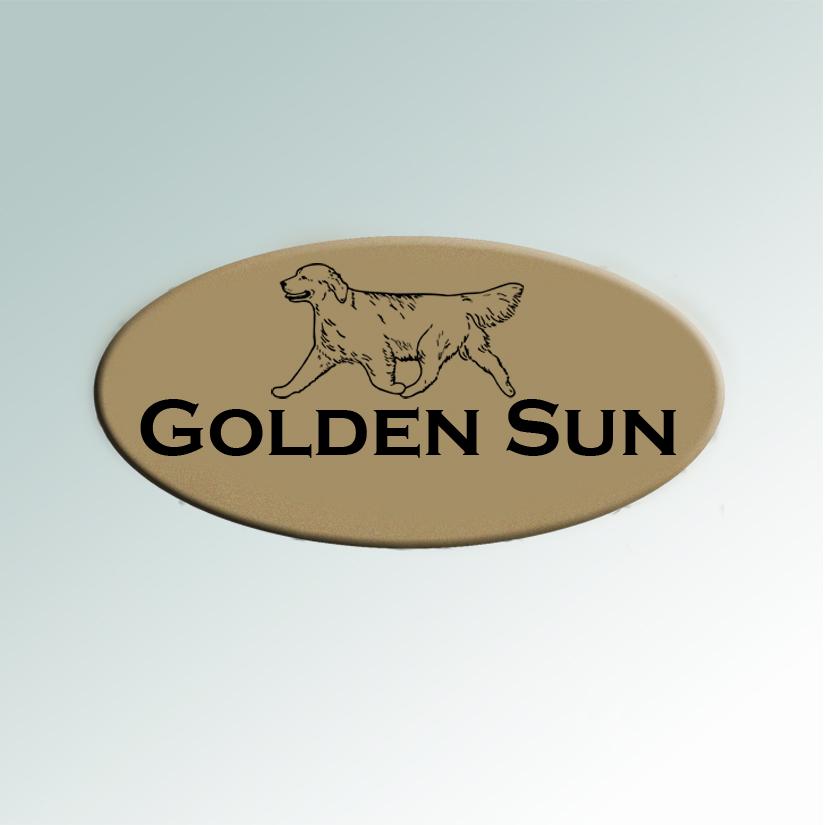 Personalized engraved plastic oval crate / kennel tags with engraved Golden Retriever design and engraved text. 80+ Golden Retriever designs to choose from.