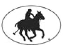 Polo Player Decal