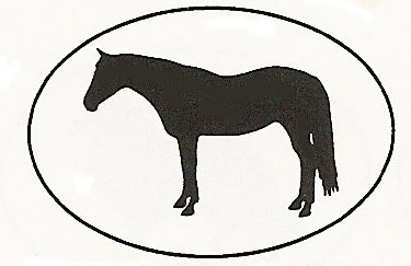 Horse Decal