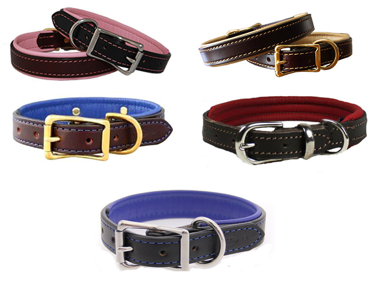 Auburn Leathercrafters padded leather dog collar color options.