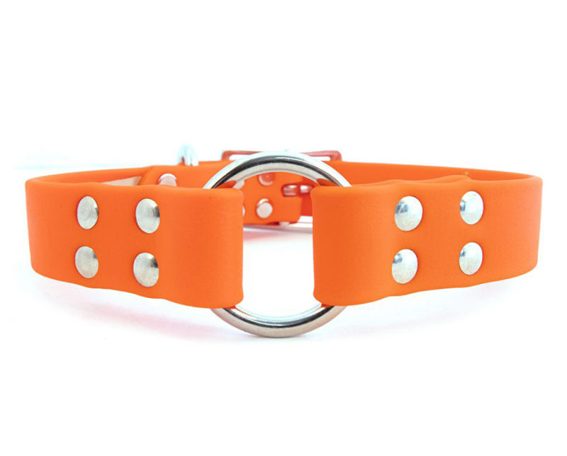Sparky's choice center ring all weather hunting dog collar with buckle closure from Auburn Leathercrafters.