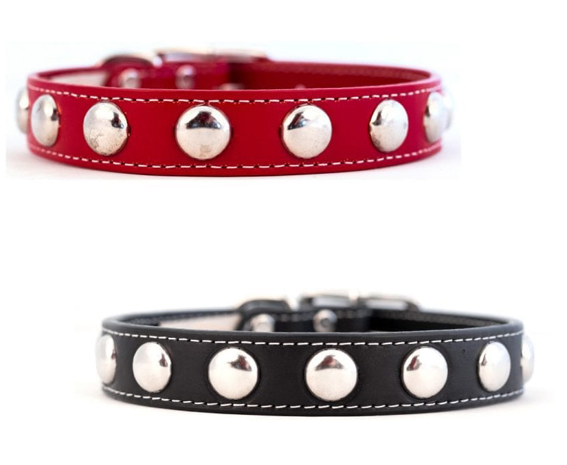 Silver Studded Leather Dog Collar Studded Leather Collar