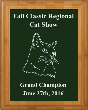 Genuine Bamboo plaque with your custom engraved cat design and text. Makes a great cat show award. Cat Award