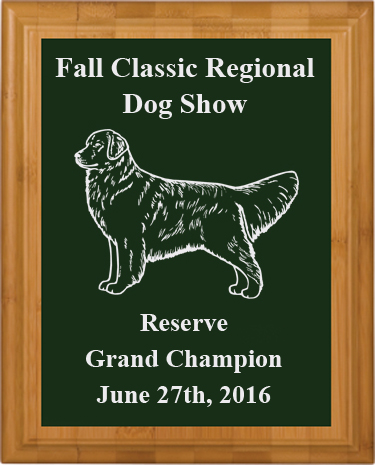 Genuine Bamboo plaque with your custom engraved Golden Retriever dog design and text. Makes a great dog show award. Golden Retriever Award