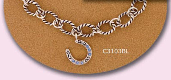 Horseshoe Bracelet with a antiqued cable chain. Adjustable equestrian horse jewelry fashion bracelet.