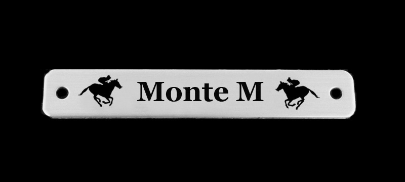 Horse design personalized nameplate that attaches to a leather belt that come in brass and nickle silver. Equestrian Belt Plate