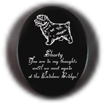 Engraved black marble with your choice of personalized text and dog design 3. Terrier Memorial