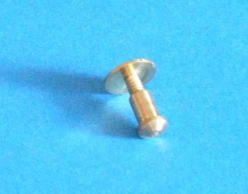 Small cap brass or silver Chicago screw set.