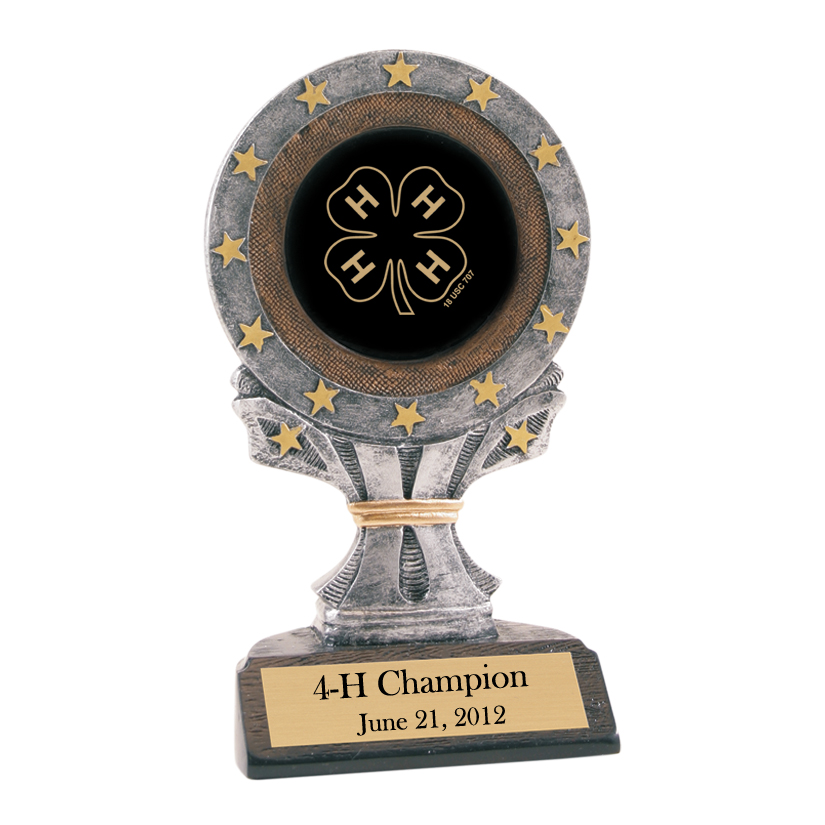 Personalized all star trophy with your choice of horse breed logo and custom engraved text. 4-H Trophy