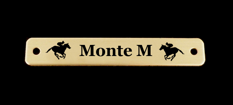 Engraved brass or silver horse saddle nameplate with choice of horse design. Horse Saddle Plate