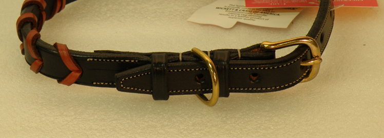 Black and tan laced rein Edgewood leather dog collar.