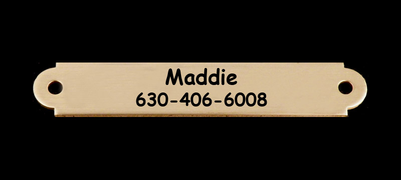 Engraved brass dog collar nameplate with personalized text.