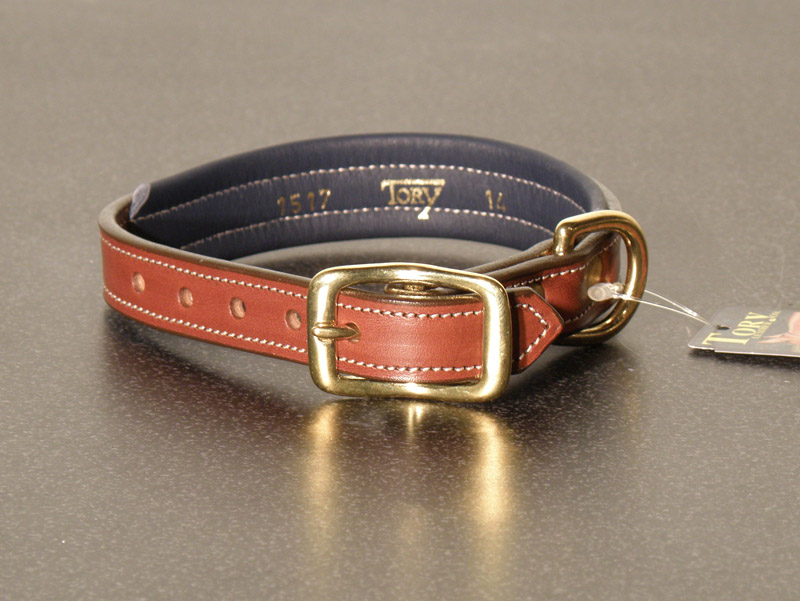 Laser engraved padded leather dog collar Oakbark with Navy back. Text is engraved right onto the leather color.