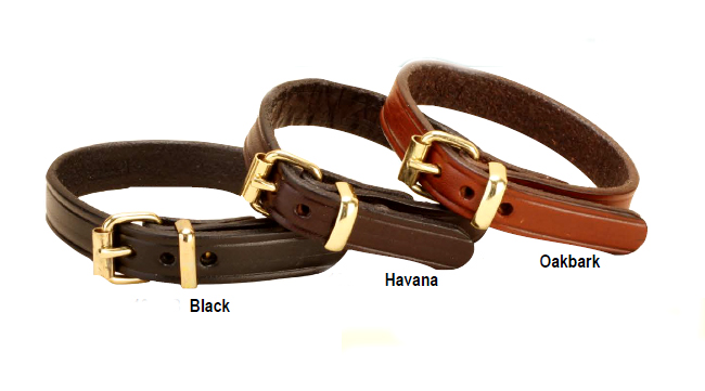 American Trakehner, German Hanoverian, Belgian Warmblood, Danish Warmblood