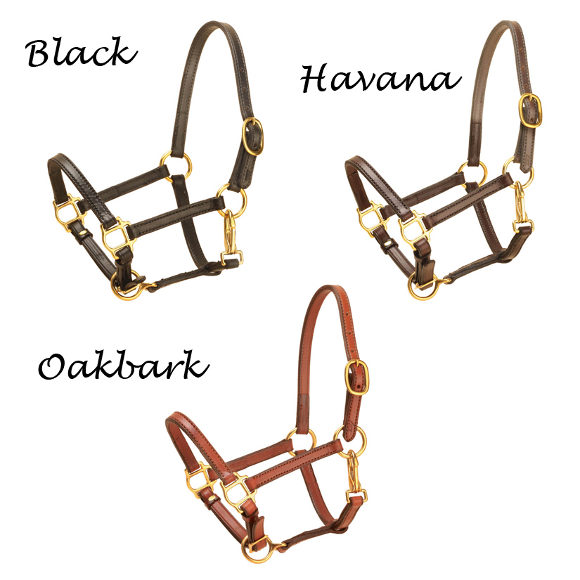 English bridle leather halter with one crown buckle, throat snap and adjustable nose. 