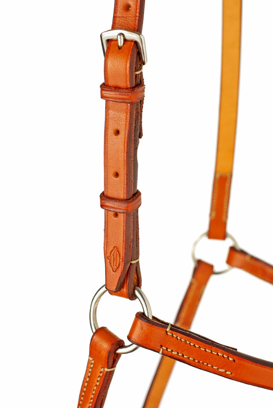 Horse, Edgewood, Leather, Figure 8, Noseband, Plain, Flat