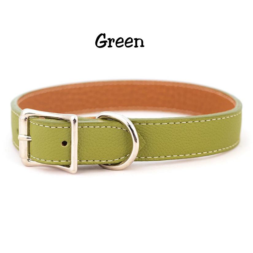 Green Tuscan Italian leather dog collar with silver hardware.