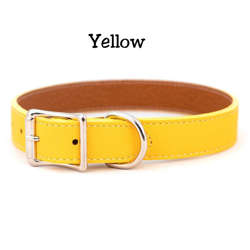 Yellow Tuscan Italian leather dog collar with silver hardware.