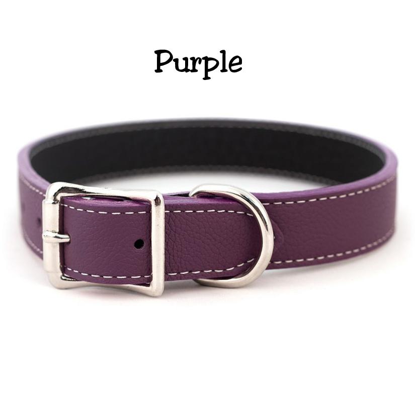 Purple Tuscan Italian leather dog collar with silver hardware.