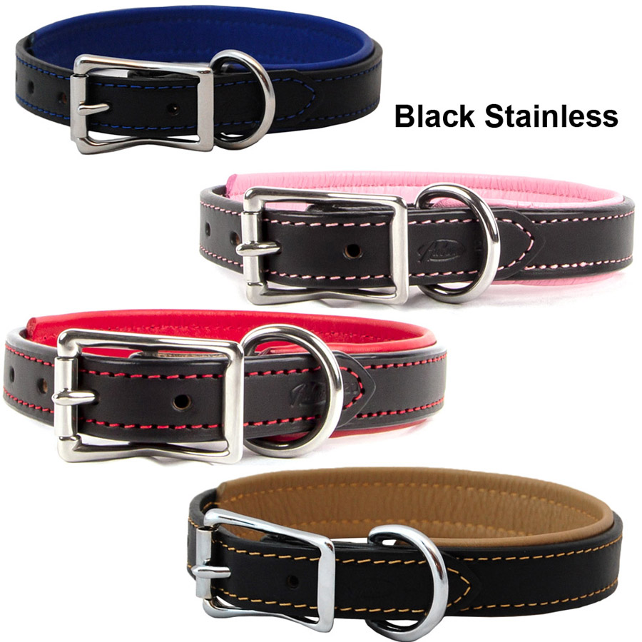 Black with stainless steel hardware padded Auburn Leathercrafters dog collar.