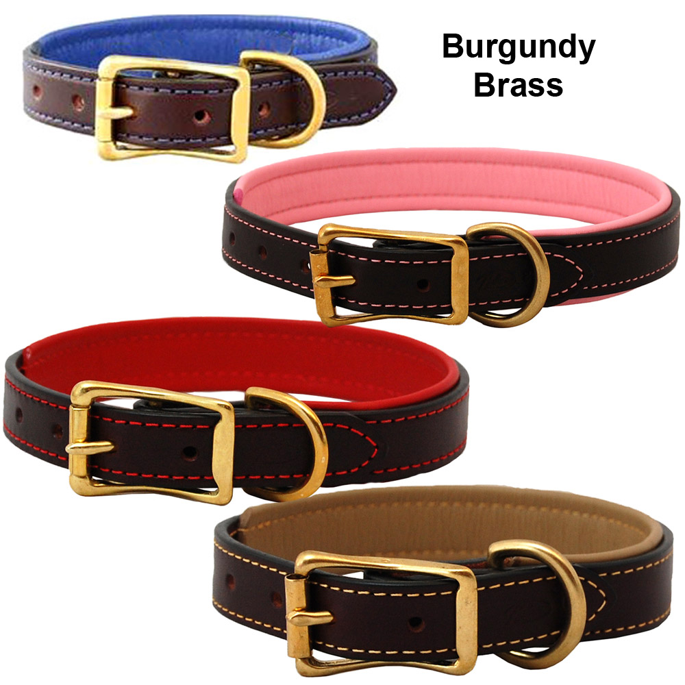 Burgundy with brass hardware padded Auburn Leathercrafters dog collar. Padded Collar