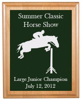 English Helmet, Race Horse, Rocky Mountain, Prancing Horse, Pinto, Equitation