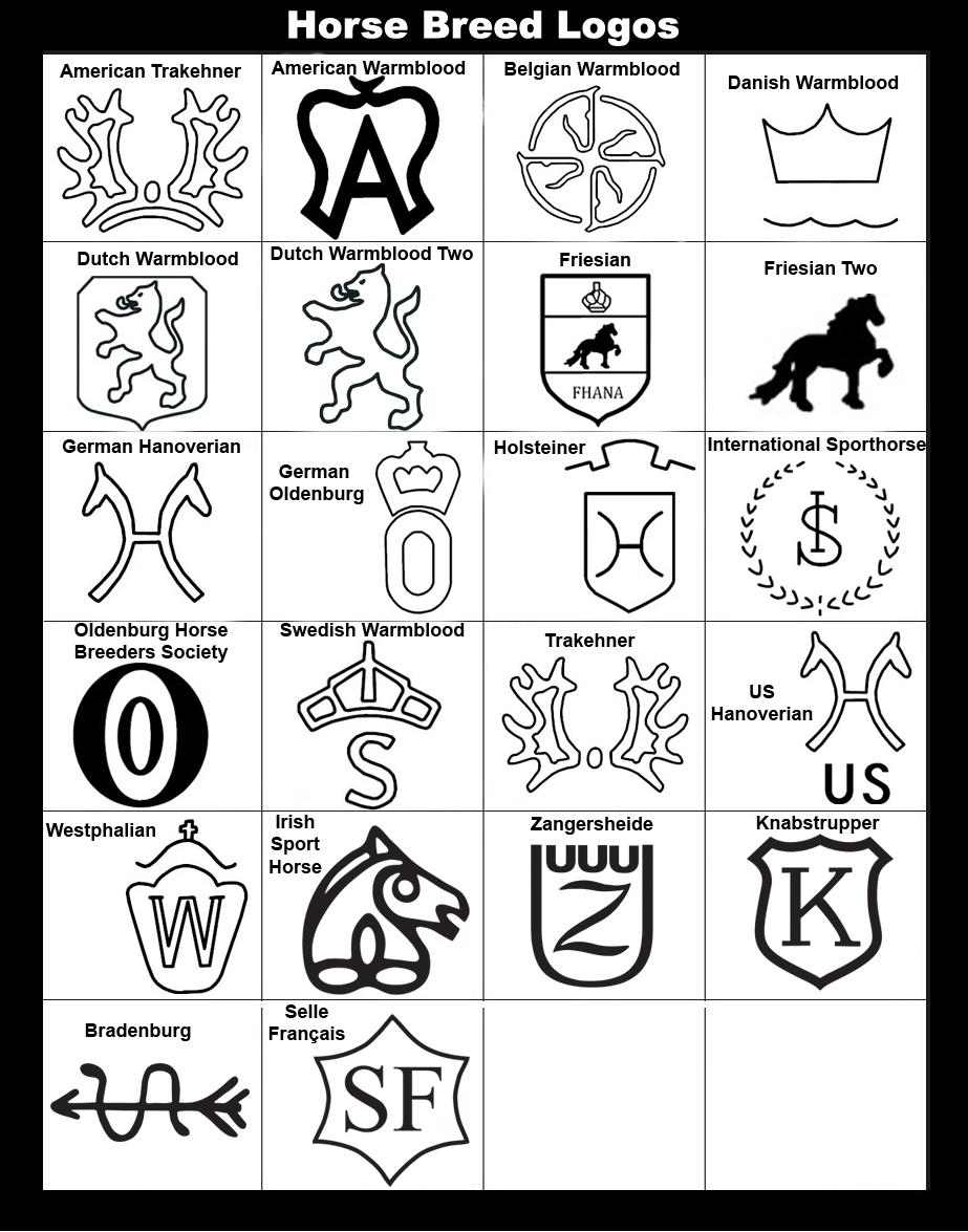 International Sporthorse, Oldenburg Horse Breeders Society, Swedish Warmblood