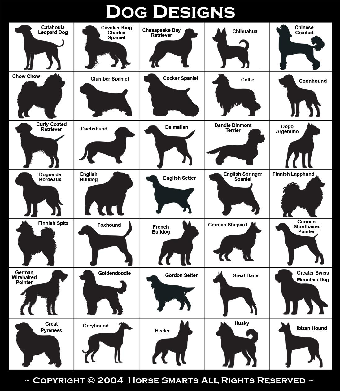 Vizsla, Weimaraner, West Highland Terrier, Whippet, Wire-haired Dachshund, Wire-haired Pointing Griffon