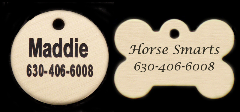 Solid brass engraved circle and dog bone hang down dog id tags. Padded Collar