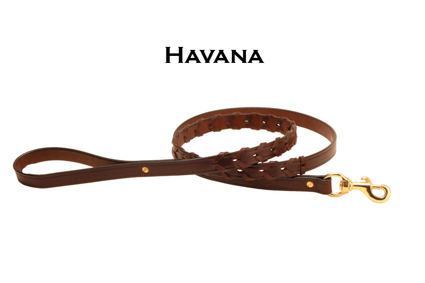 Havana laced leather dog leash with solid brass hardware from Tory Leather.