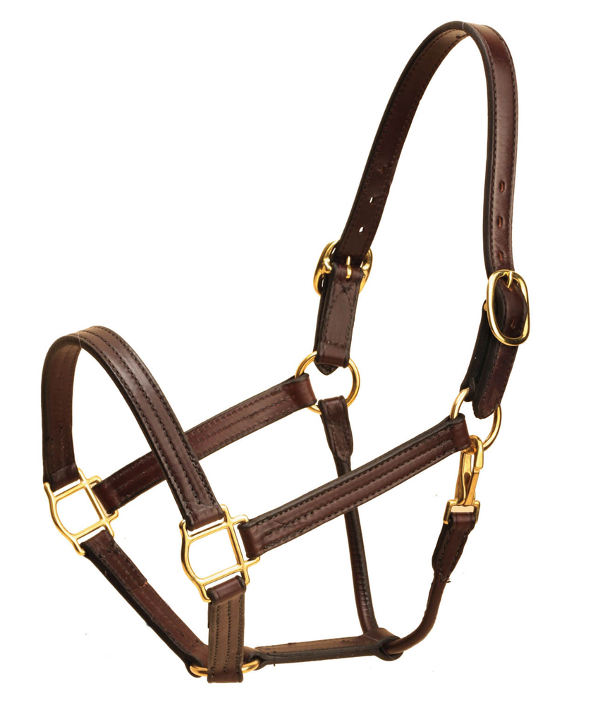 Havana Tory Leather's deluxe horse halter with free engraved halter plate.