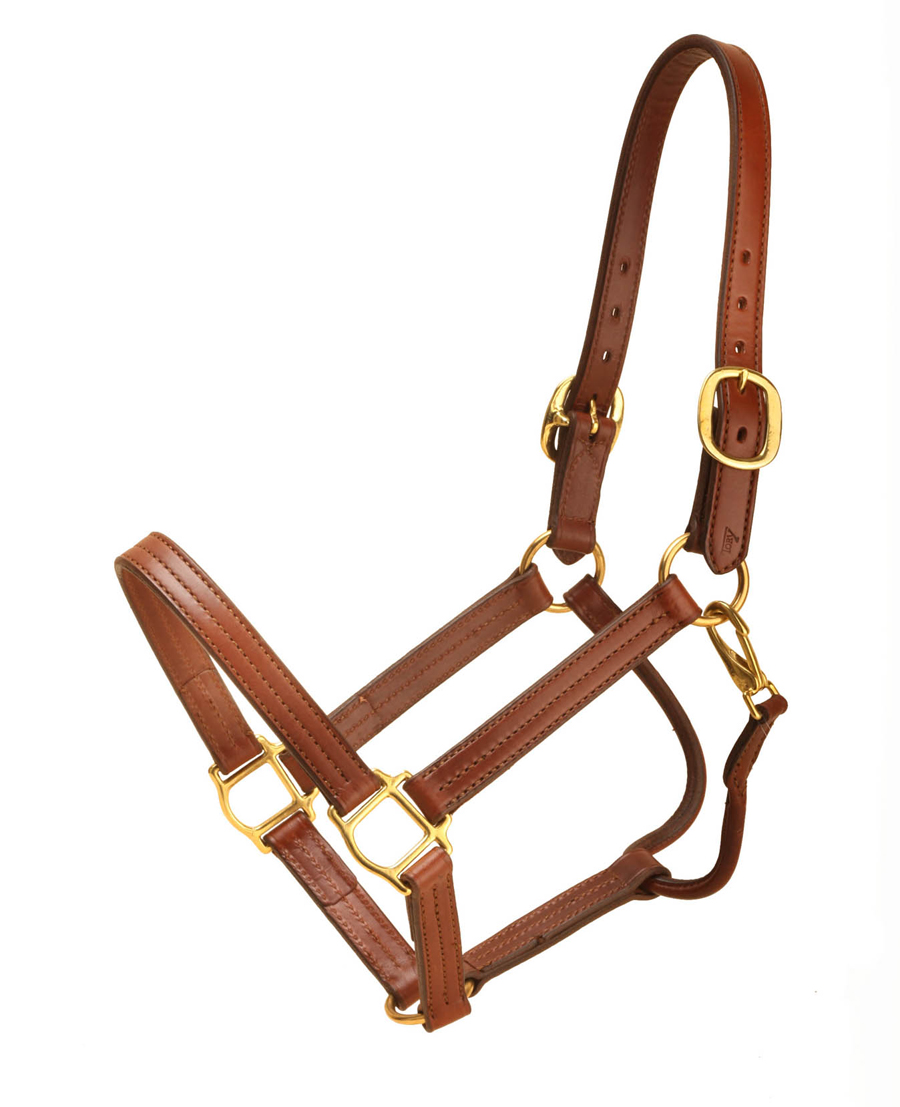 Oakbark Tory Leather's deluxe horse halter with free engraved halter plate.