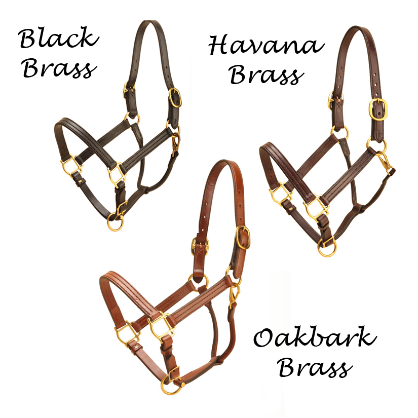 1" wide tripled stitched leather track halter from Tory Leather features a throat snap and adjustable chin.
