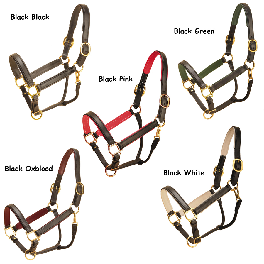 Black leather padded Tory horse halter padding color options.