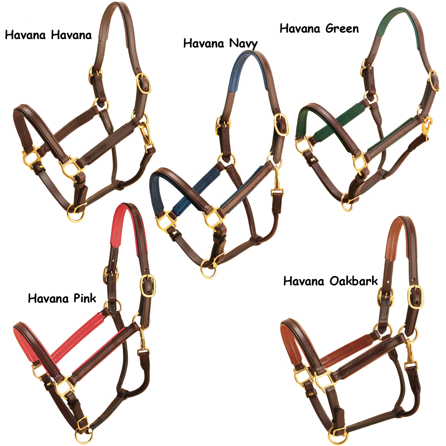 Havana leather padded Tory horse halter padding color options.