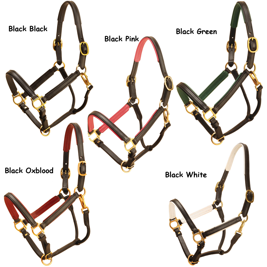 Black leather padded Tory horse halter padding color options.