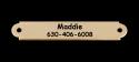 Engraved brass dog collar nameplate with personalized text.