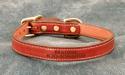Laser engraved leather dog collar.