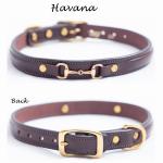 Havana raised leather snaffle bit dog collar with a silver snaffle bit.
