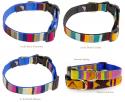 A Tail We Could Wag size medium dog collar.