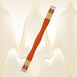 Top quality Edgewood chestnut leather fancy stitched horse girth with elastic on both ends.