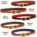 Padded leather dog collar from Tory Leather with multiple color options.