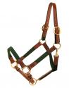 Green cotton webbing with oakbark colored leather horse halter.
