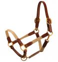 Tan cotton webbing with oakbark colored leather horse halter.