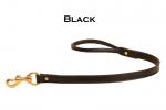 Black leather dog leash with a rolled handled and solid brass hardware.