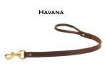 Havana leather dog leash with a rolled handled and solid brass hardware.